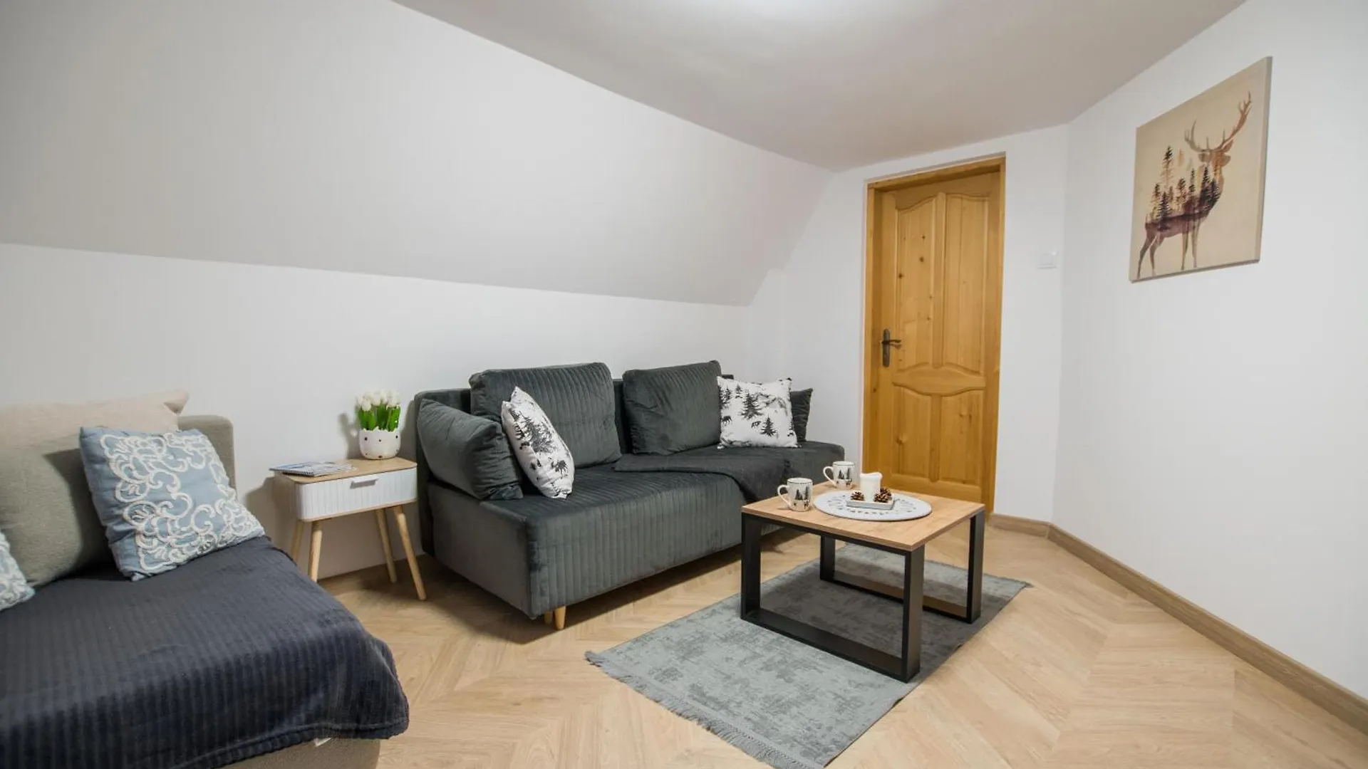 Apartament U Kominkow Zakopane Scisle Centrum 0*,